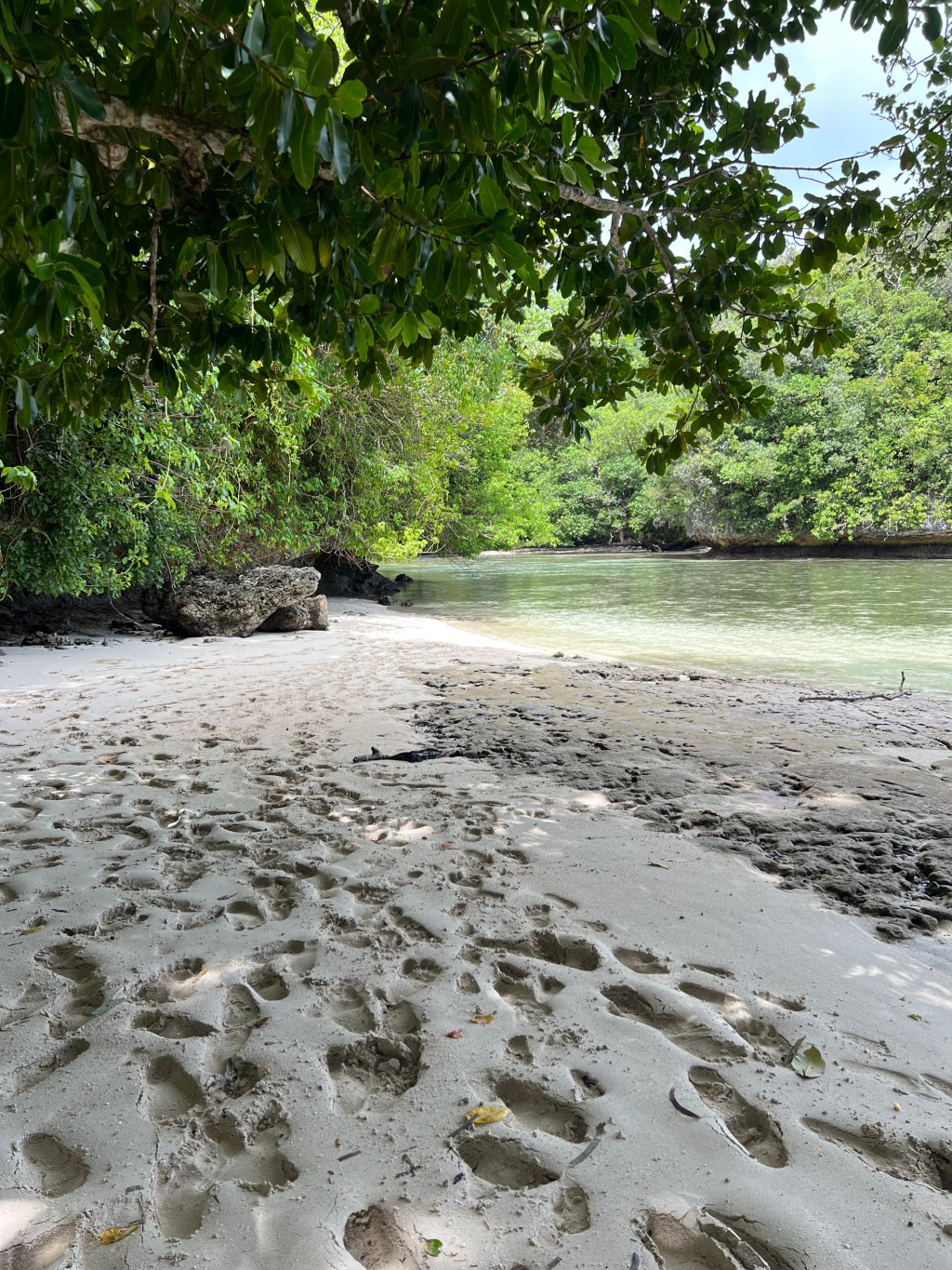 Written with Love, Pride, and&nbsp;Gratitude