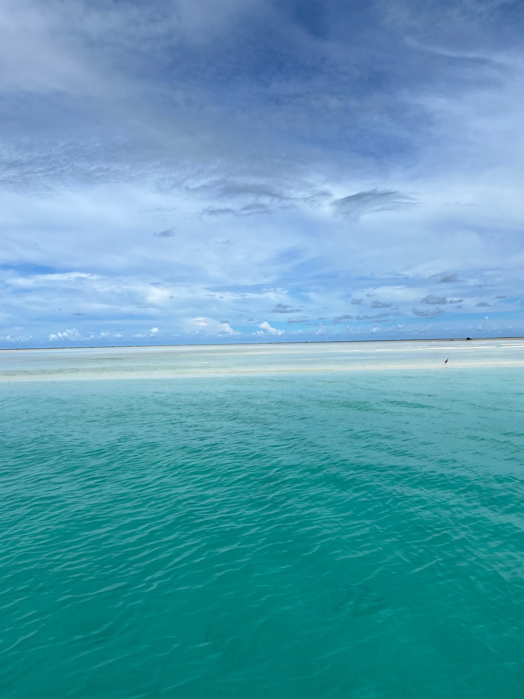 If You’re Into Freedom of&nbsp;Religion