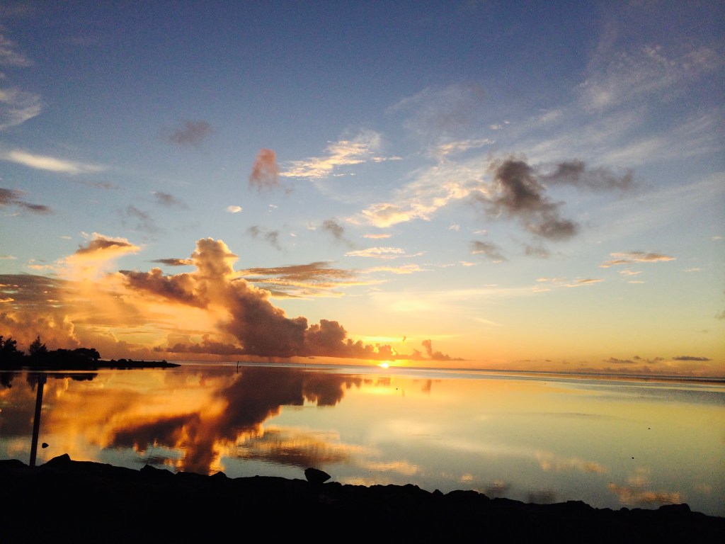 Tuna, Rice, Sauce, and&nbsp;Onion