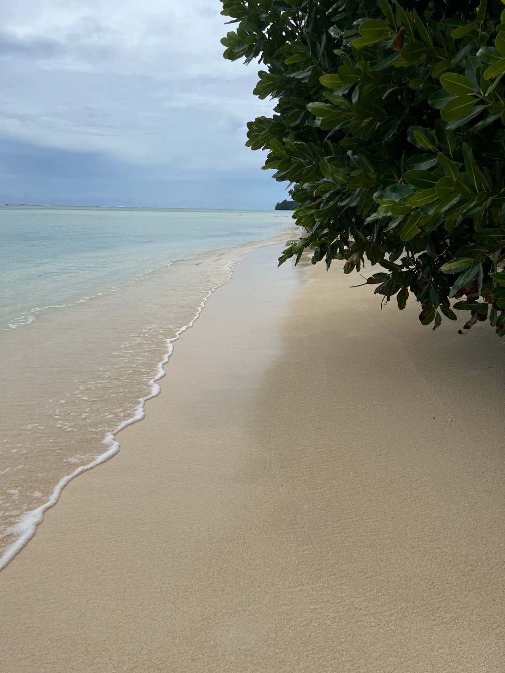 A Fluttering Memory of Sandy&nbsp;Identities